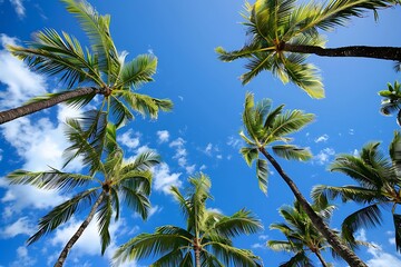 Fototapeta premium Coconut palm trees with blue sky background. Summer vacation concept