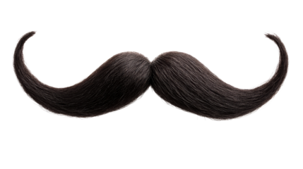 mustache on a transparent background