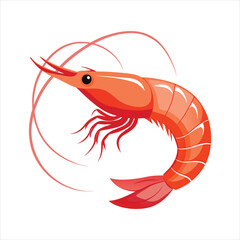Colorful shrimp vector illustration