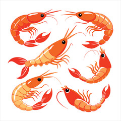 Colorful shrimp vector illustration