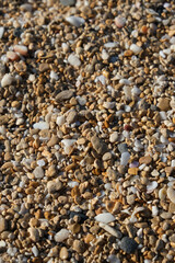 pebbles on the beach