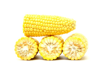 Close-up image of fresh corn cobs arranged on a white background