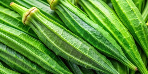 Fototapeta premium Close-up of vibrant green okra leaves with intricate veins, showcasing a beautiful texture
