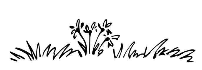 Simple hand drawn vector illustration with black outline. Lawn of grass, small flowers, daisies. Nature and vegetation. Sketch in ink.