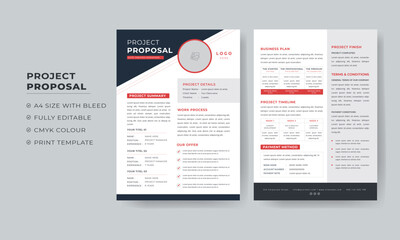 Business Plan and Project Proposal design