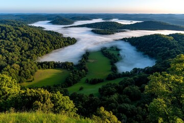 A fog-covered wilderness landscape, where the mist rolls over forests and hills, creating a mysterious and untouched natural scene.