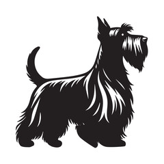 Scottish Terrier Dog  Standing Vector illustration black and white
