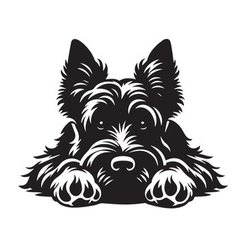 recommend clip art: Scottish Terrier Dog Face Clipart Design - Dog Head Logo - Scottish Terrier Vector illustration in black and white