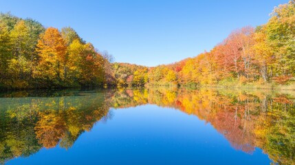 Fototapeta premium Tranquil Autumn Reflections: Peaceful Lake Amidst Vibrant Fall Trees