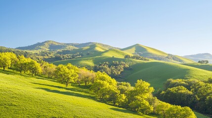 Obraz premium Tranquil Fall Foliage: Vibrant Trees on Hills under Clear Blue Sky - Ideal for Outdoor Adventure and Exploration