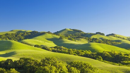 Obraz premium Tranquil Autumn Vista: Colorful Trees on Rolling Hills under Clear Blue Sky, Ideal for Outdoor Adventure and Exploration