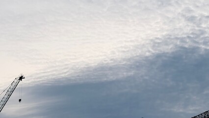 하늘을 탐한 타워크래인