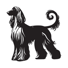 Afghan Hound Dog  Standing Vector illustration black and white
