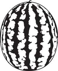 black and white watermelon vector illustration