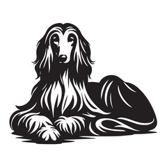 Fototapeta premium Afghan Hound Dog Sitting Vector illustration black and white 