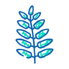 royal fern tropical leaf doodle icon sketch vector. royal fern tropical leaf sign. isolated symbol illustration