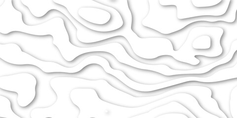 3D Papercut Stylized White topographic contour scheme and terrain. Abstract geometric layered curve line white background. papercut on white contours topography stylized height of the lines, Abstract 
