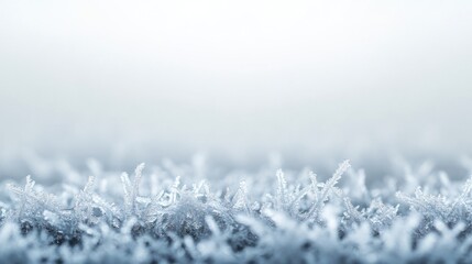 A close-up of frosted grass blades in a soft, misty environment.