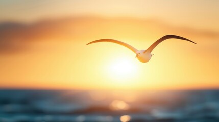 Majestic Bird Soaring Against Sunset Horizon