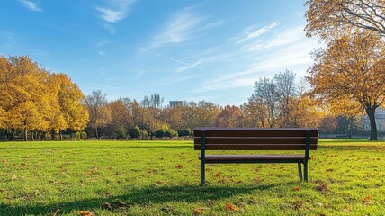 Naklejka premium Lonely Bench in autumn Park with city view red and yellow maple trees and blue sky,Autumn forest path,Lawn in autumn city park in Sunny day,Trees with yellow leaves in park,Natural Wallpaper.