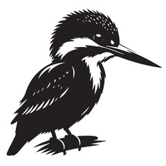 Kingfisher birds silhouette victor illustrator file