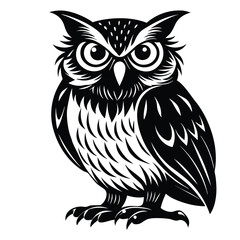 owl Black and white victor art illustration eps.