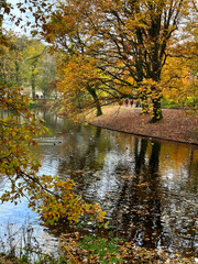 Fototapeta premium autumn trees reflected in water