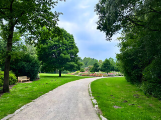 alley in the park