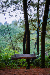 Naklejka premium swings installed on two sides of the tree. swing in the middle of the Indonesian tropical forest.