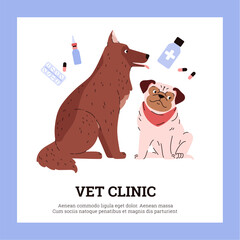 Dogs are featured in a vector poster with pills and potions around them.