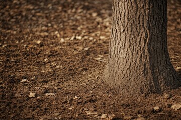 Partially Buried Brown Tree Trunk Resting on a Bed of Brown Soil