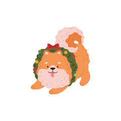 Pomeranian Spitz with a New Year's green wreath,