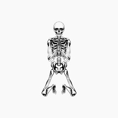 skeleton with a skull