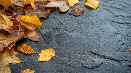 A close-up view of yellow autumn leaves on a black slate background, with copy space.