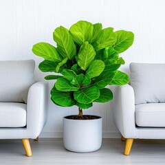 A photostock images of a cozy living room with warm lighting, soft-toned furniture, and indoor plants as decoration
