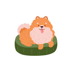 Cute Spitz dog lies on the green dog bed, Pomeranian German breed puppy resting, vector cartoon small fluffy ginger pet