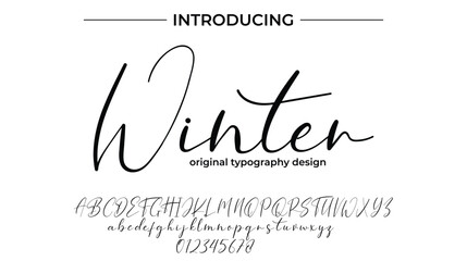 Winter Font Stylish brush painted an uppercase vector letters, alphabet, typeface