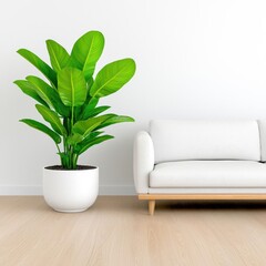 A photostock images of a stylish living room with light wood furniture, neutral tones, and a large indoor plant