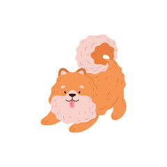 Cute Spitz dog posing sticking out his tongue, Pomeranian German breed puppy, vector cartoon friendly fluffy ginger pet
