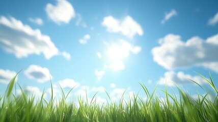 Fototapeta premium Calm Grass Under Bright Sky with Gentle Whistling Wind