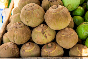 A close-up of the Pouteria sapota or mamey sapote fruit, showing its characteristic rough brown color on the outside, with its thick shell. In the center, its large, oval-shaped, 