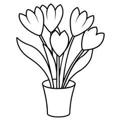 bouquet of tulips