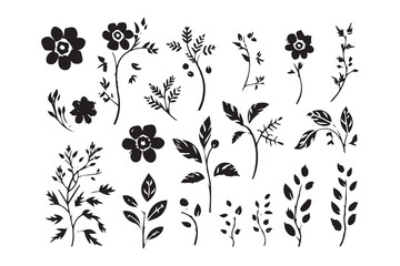 Botanical flowers silhouette