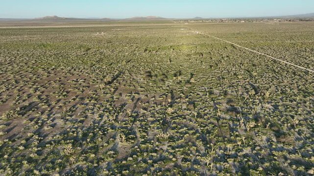 Mojave Desert in Palmdale Aerial Shot Joshua Tree L California USA