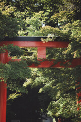 もみじと鳥居