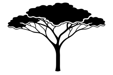 Obraz premium Acacia tree vector silhouette on white background