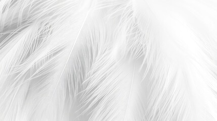 Obraz premium Textured fur fabric with long, soft strands, perfect for winter or cozy design themes