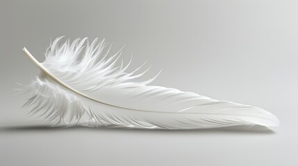 Obraz premium White Feather: Delicate Beauty and Simplicity