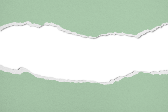 Green cardboard is torn into strips on a transparent background.