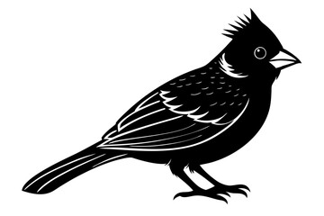 
Cardinal bird vector silhouette, cardinal bird animal black vector icon
